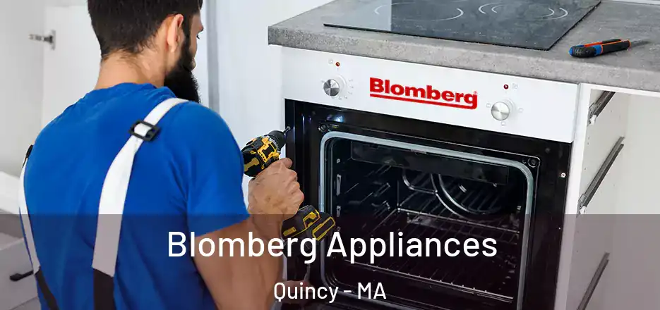 Blomberg Appliances Quincy - MA