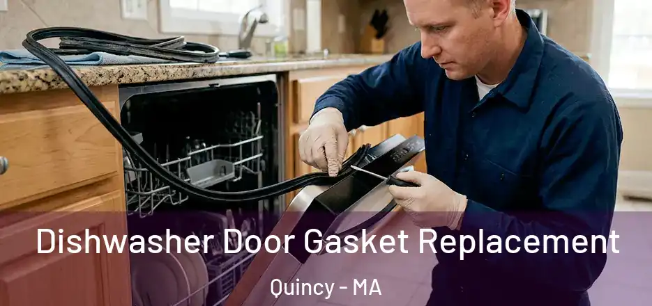  Dishwasher Door Gasket Replacement Quincy - MA