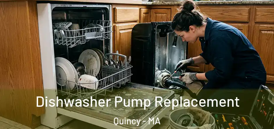 Dishwasher Pump Replacement Quincy - MA