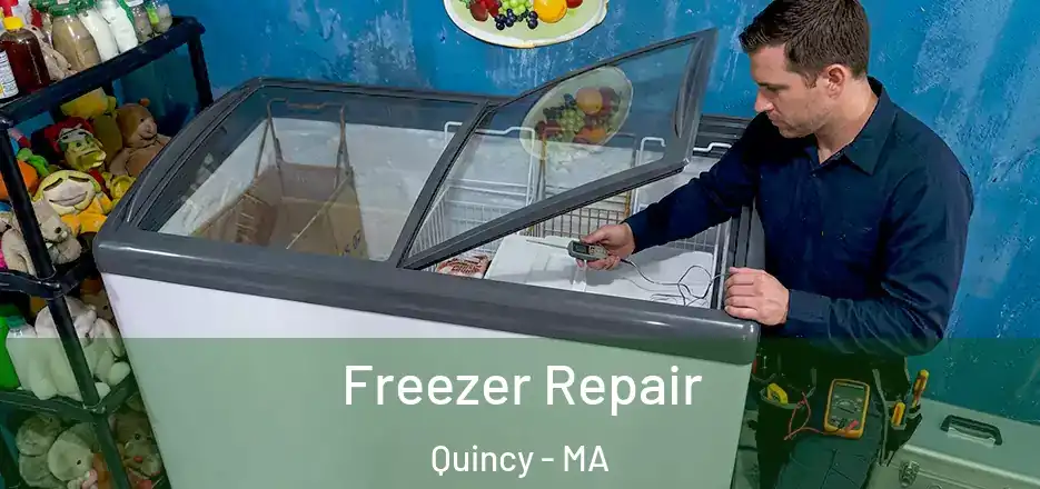 Freezer Repair Quincy - MA