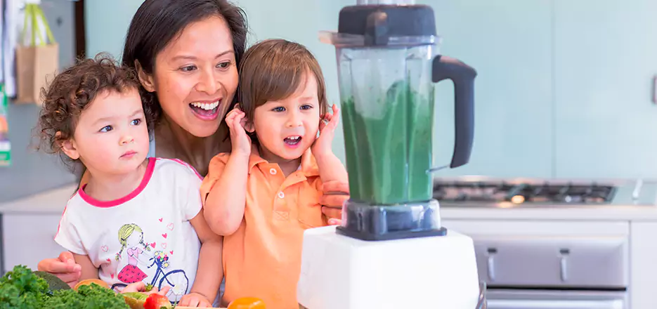 Juicer and Mixer Blender Repair in Quincy
