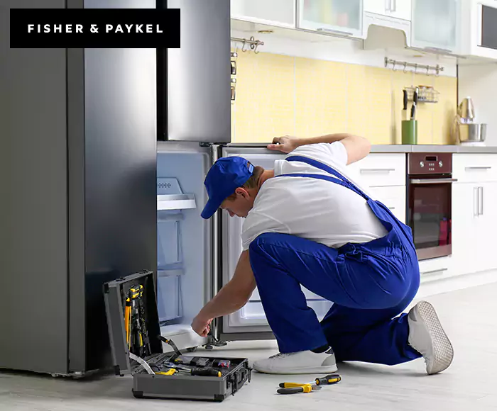 Top-Rated Fisher & Paykel Appliance Experts: Your Brand Specialist in Quincy, MA